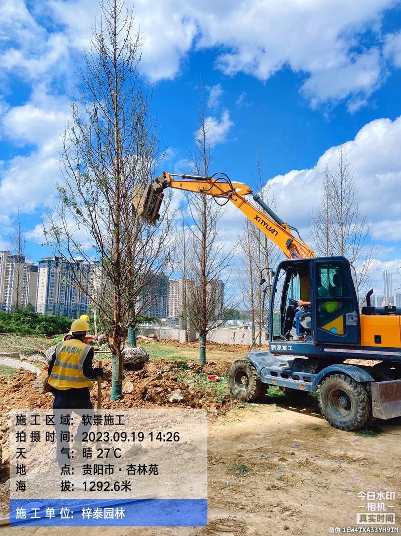 城市綠意的守護者 園林綠化工程苗木人的施工紀實